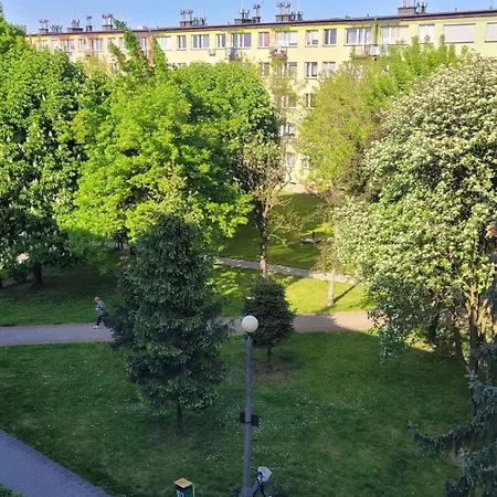 Dams * オシフィエンチム