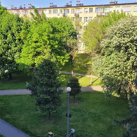 Dams * Oświęcim